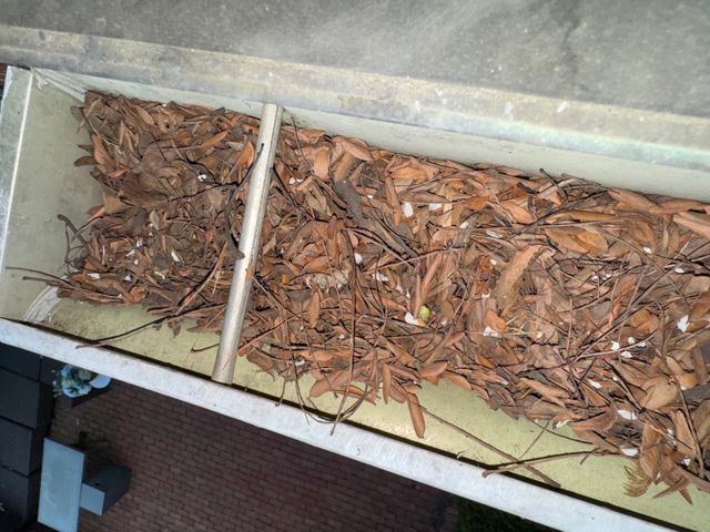 Gutter packed with dry leaves seen from above