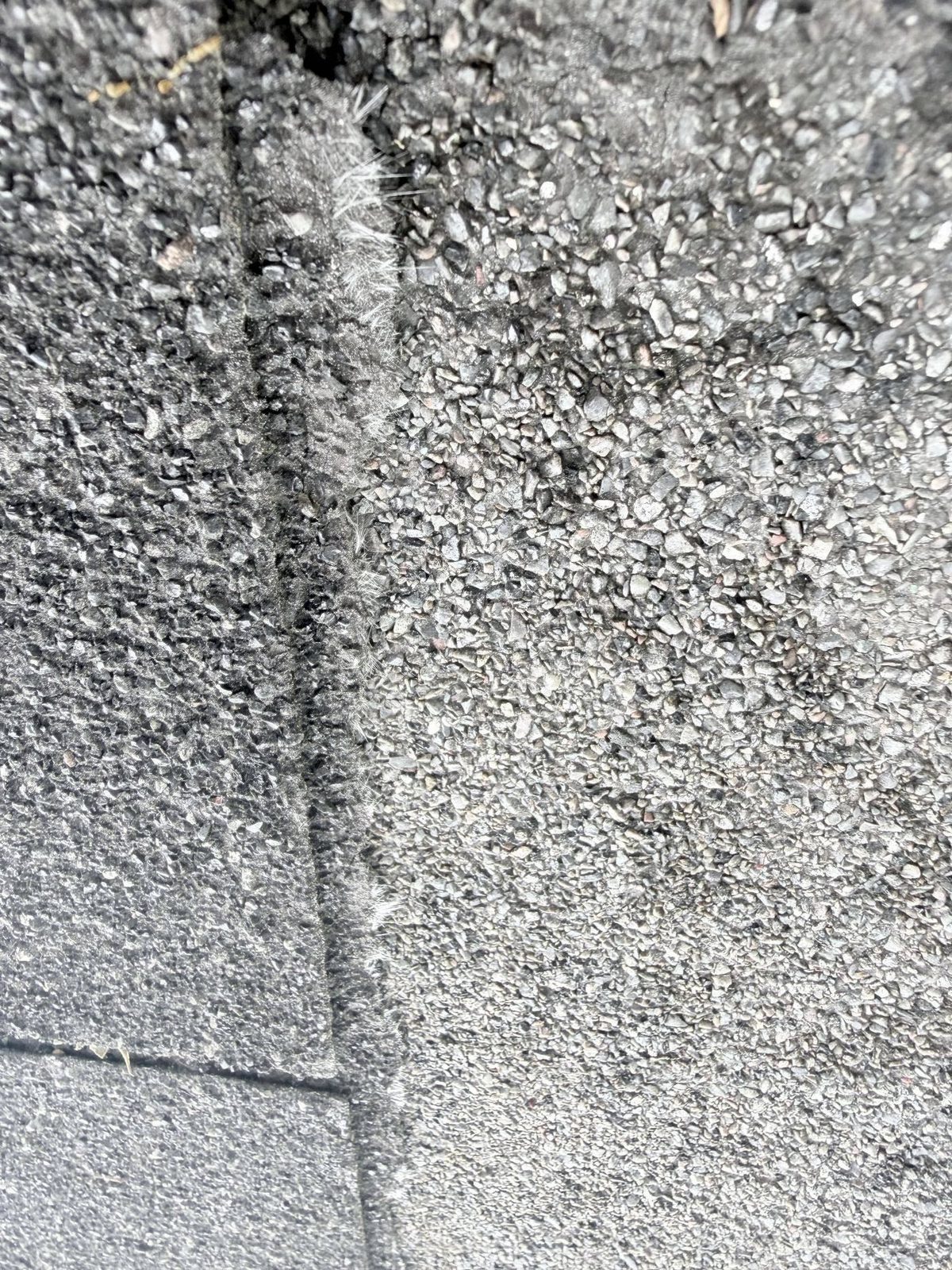Close-up of a shingle seam where fiberglass threads show and the granule cover is worn off