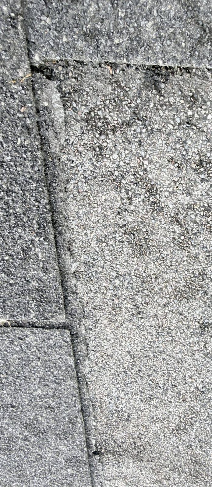 Close-up of a field shingle with a thinned granule cover