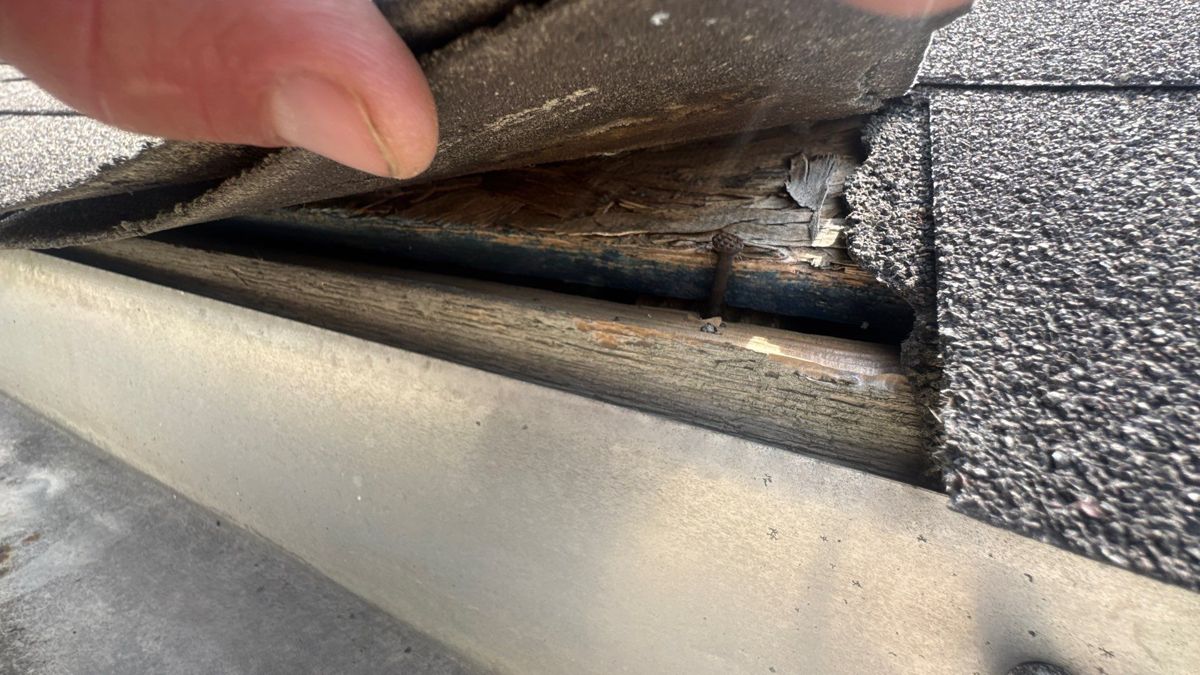 Shingle lifted at the roof edge showing dark, rotted wood decking above the gutter