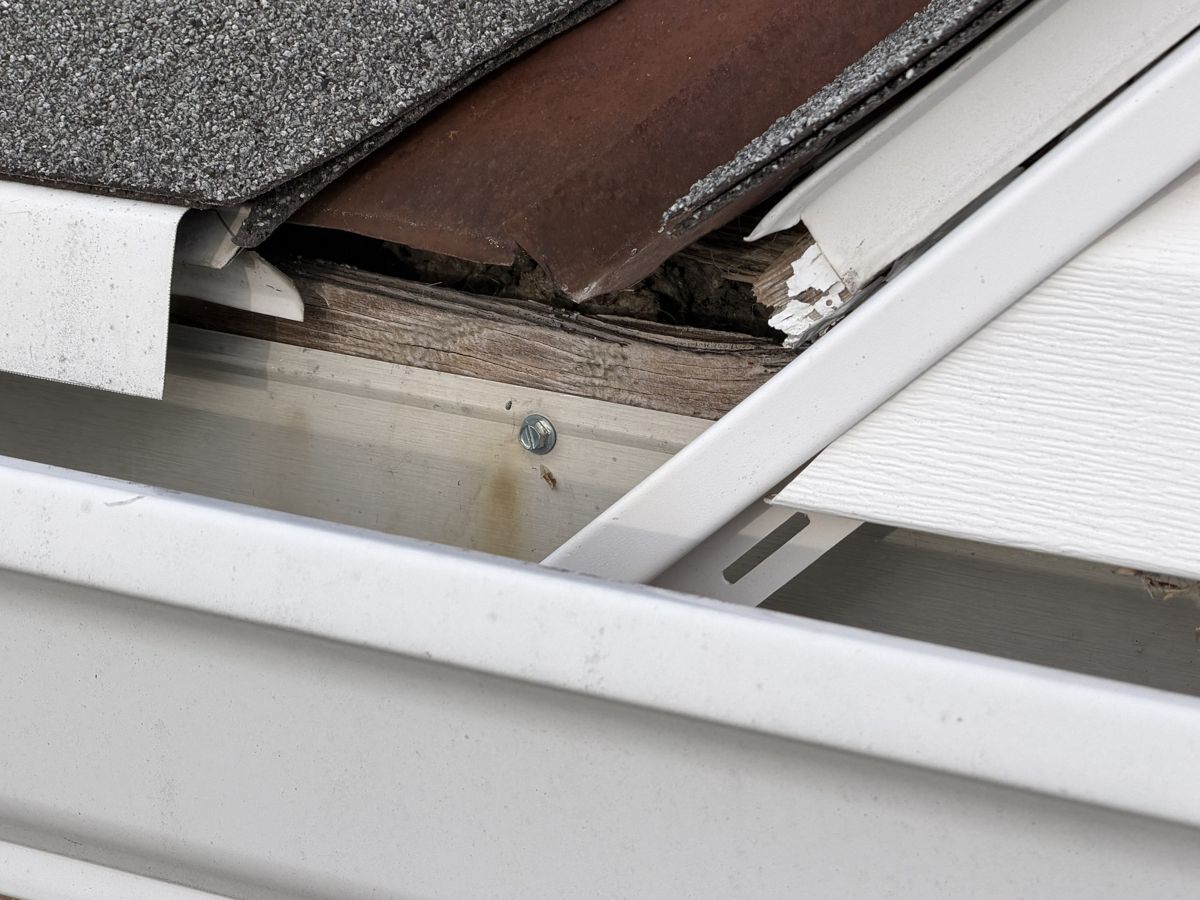 Gutter in the foreground with rotted, broken wood at the roof edge directly behind it