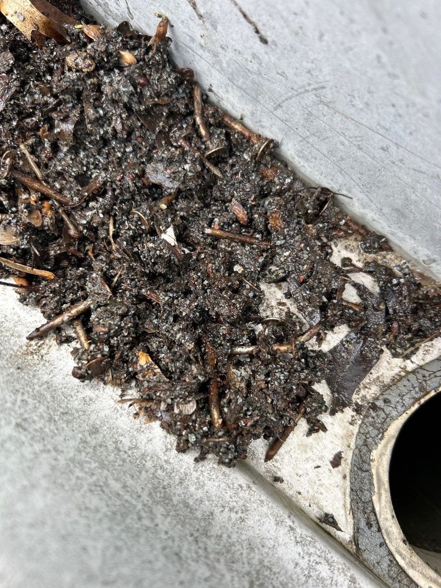 Downspout opening in a gutter choked with packed leaves and grit