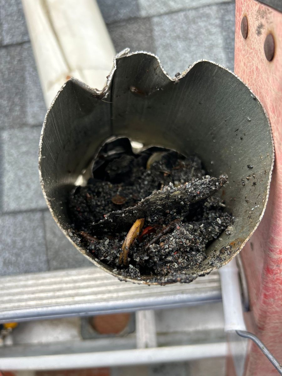 Cut downspout packed solid with dark wet debris
