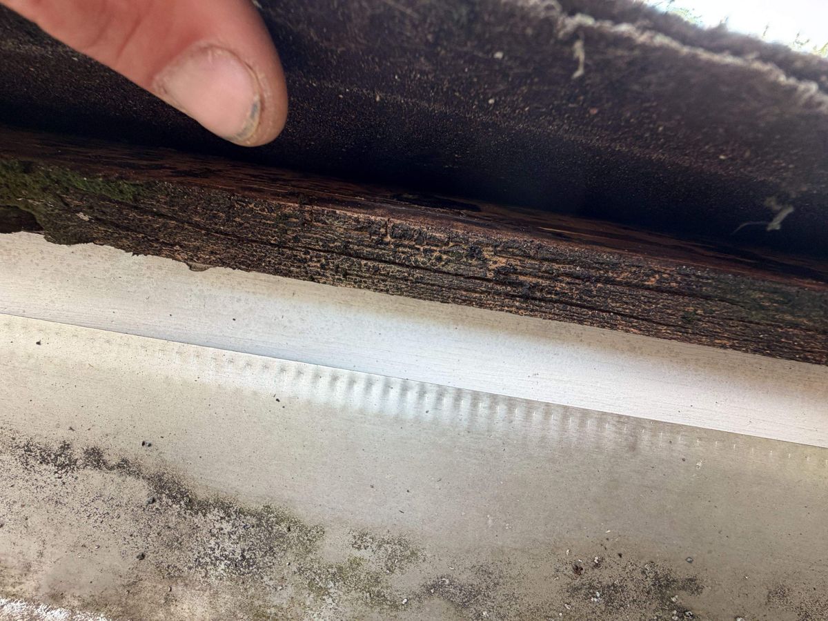 Dark, rotted fascia board directly behind a gutter