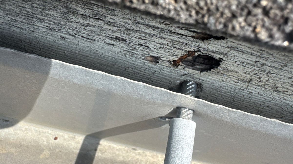 Gutter spike screwed into fascia wood that has rotted around the hole