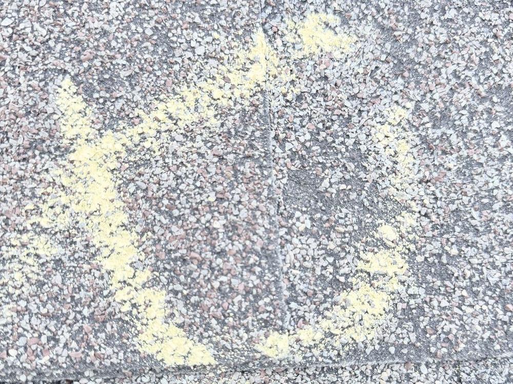 Close-up of a hail hit on an asphalt shingle: a roughly round dark spot with the granules gone