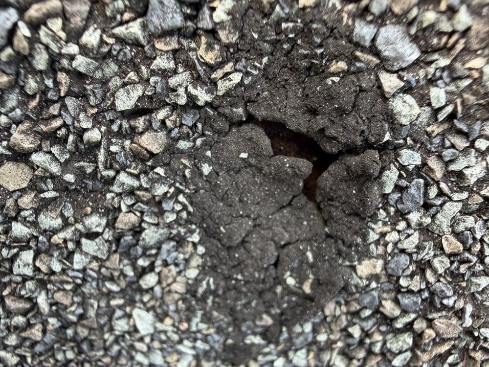 Raised, cracked bump in an asphalt shingle with the granules gone and rust showing in the crack